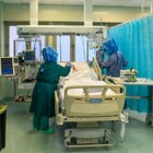 Gimbe: «Pressione alta su ospedali e tanti morti»