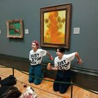 Van Gogh, ecologisti vandalizzano l'opera "I Girasoli" esposta a Londra