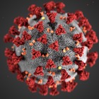 Coronavirus, il direttore dei Cdc in Usa: «Resterà con noi oltre quest'anno»