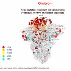 Omicron, fine pandemia vicina? Ecco perché scienziati Usa e sudafricani sono ottimisti