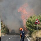 Roma, incendio a Casal Monastero: fiamme vicine alle abitazione, nuovo allarme