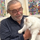 Nino Frassica, il gatto Hiro non torna: «Chi lo ha preso non vuole restituirlo, aumento la ricompensa a 10mila euro»