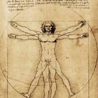 L'uomo vitruviano sbarca a Roma: l'opera di Leonardo Da Vinci esposto al Senato