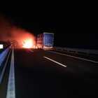 A fuoco tir carico di bovini sulla A1 tra Orvieto e Fabro