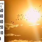 Meteo, estate 2020 senza picchi di caldo africano: ecco come saranno luglio e agosto