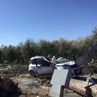 Roma, albero su un'auto: morto l'uomo alla guida