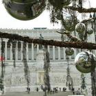 Natale Roma, dopo Spelacchio arriva l’albero di Natale sponsorizzato Netflix. Ecco quanto costa
