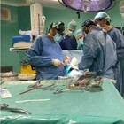 Gli organi di pazienti positivi deceduti salvano due vite: trapianti record a Palermo e Torino