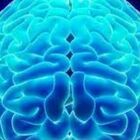 Alzheimer, training fisico (e cognitivo) aiutano 