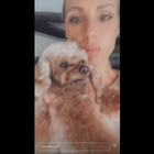 Michelle Hunziker e le coccole ai suoi cagnolini