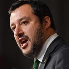 Salvini: «Castrazione chimica»