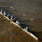 Oxford-Cambridge, malore per i canottieri a causa delle acque inquinate del Tamigi