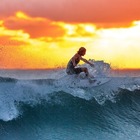 Australia, prove di normalità: nelle spiagge di Sydney tornano i surfisti