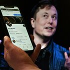 Twitter a pagamento? Fuggi fuggi dei Vip dal social di Elon Musk: la lista si allunga