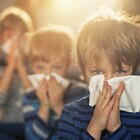 Influenza mai così debole da 20 anni ma si rischia impennata il prossimo inverno: incognita vaccino