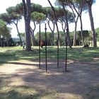 Roma, aveva lanciato sassi contro i carabinieri a Villa Pamphilj: preso dopo 2 giorni