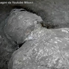 Pompei restituisce i corpi integri di due fuggiaschi: ecco come sono stati trovati