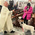 Cani e gatti angeli custodi: benedetti nella chiesa dell'Ascensione