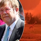 Incendi in Australia, Elton John dona un milione di dollari per fronteggiare l'emergenza