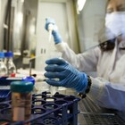 Coronavirus uscito da un laboratorio? «Tre virologi malati a novembre 2019». L'ira della Cina: «Basta complotti»