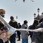Furto con destrezza a Venezia: il gabbiano ruba il panino alla turista