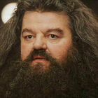 Robert Coltrane morto, addio all'attore che ha interpretato il gigante buono Hagrid in Harry Potter