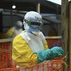 Ebola, focolaio in Congo