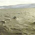 Il mostro di Loch Ness, l'ultimo avvistamento (Jonathon Bright)