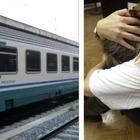 Molesta ragazza sul treno regionale, passeggera filma tutto e posta il video sui social: fermato straniero
