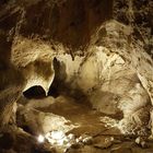 Grotta Guattari: presto sarà possibile la visita virtuale on line del sito archeologico