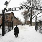 Predappio, studentessa vuole andare ad Auschwitz: il sindaco nega contributo. «Prima fate vedere gulag e foibe»