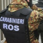 'Ndrangheta, operazione dei Ros in Calabria: 8 arresti grazie agli sviluppi dell'indagine "Rinascita Scott"