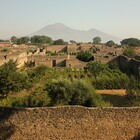 immagine Agricoltura e inclusività a Pompei, presso l'Orto dei Fuggiaschi