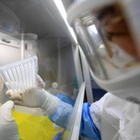 «Coronavirus, nessuna prova contro laboratorio Wuhan»: dopo Fauci anche fonti 007 smentiscono Trump. Negli Usa 70 mila morti