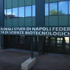«Medicina Interna 4.0», venerdì 23 settembre a Napoli congresso dell’Università Federico II