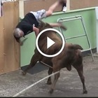 Distratto a filmare con l'ipad, spettatore travolto dal toro: l'incidente choc alla corsa tradizionale