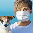 Cani fiutano il coronavirus in 0,5 secondi: pronti negli aeroporti UK