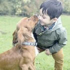 Leon, il bambino autistico che ha cominciato a parlare grazie all’amore di un cane