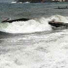 Fanno il bagno in mare tre le onde, morti due turisti: la tragedia a Rosignano