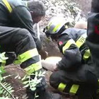 Cane rimasto intrappolato in una cavità rocciosa: ecco come i vigili del fuoco hanno salvato l'animale