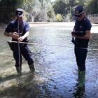 Carabinieri forestali, task force per il controllo dei corsi d'acqua maceratesi: violazioni e multe per 12mila euro