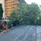 Maltempo, temporale choc a Verona: alberi abbattuti, tetti scoperchiati e semafori divelti. Danni ingenti, ecco dove