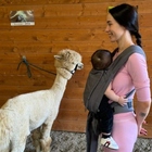 Aurora Ramazzotti, Cesare incontra per la prima volta i lama: la domenica in famiglia nell'agriturismo