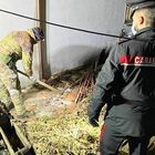 'Ndrangheta, maxi-blitz: 65 arresti