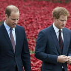 William e Harry, lite violenta dopo il funerale del nonno: «Si sono urlati contro parole tristi...». Kate Middleton reagisce così