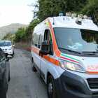 Cinghiale contro canoisti a Castel Gandolfo, arriva l'ambulanza