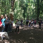 Passeggiata all'ombra delle querce e Tai Chi nel Parco nazionale del Circeo