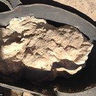 Trovato il formaggio più antico del mondo, ha 3200 anni: ma dentro c'è un batterio killer