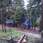Ragazza di 16 anni morta a Brescia: uccisa da un albero abbattuto dal maltempo al campo scout