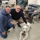 Da Amsterdam alla Puglia per adottare un cane randagio: ora Max ha una famiglia